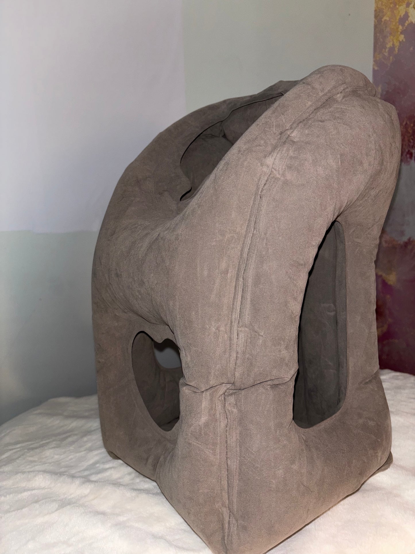 Airplane pillow
