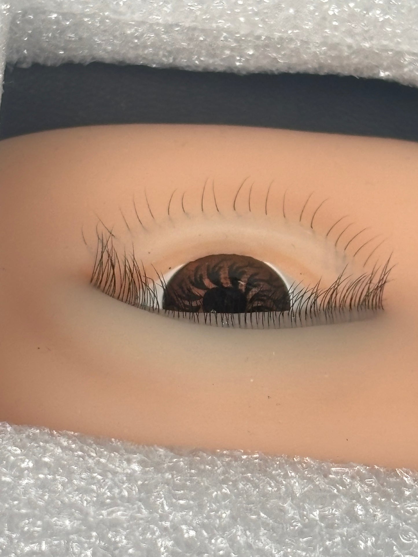Realistic lash mannequin